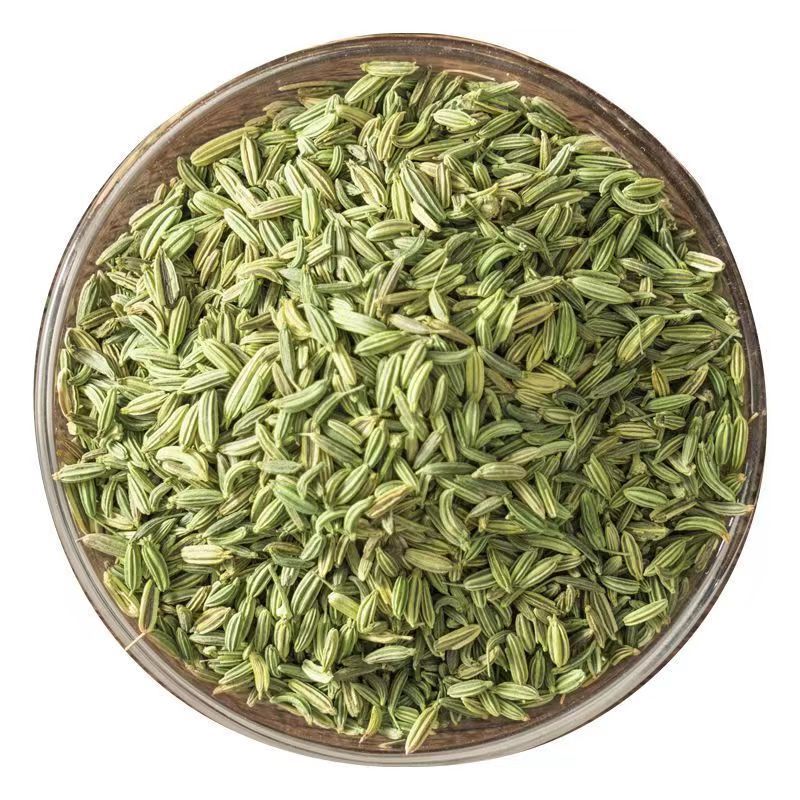 Natural Spices Herbs Seed Low Price Fennel seeds foeniculum vulgare