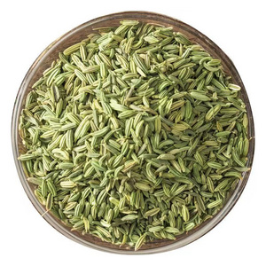 Natural Spices Herbs Seed Low Price Fennel seeds foeniculum vulgare