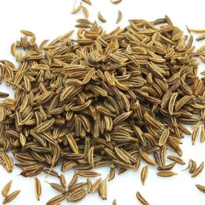 Pure China Wholesale Price Spice Organic Whole Cumin Seeds