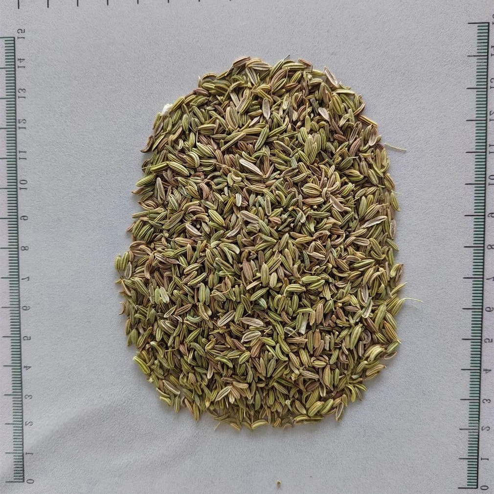 Xiao Hui Xiang Fructus Foeniculi Fennel Organic Cumin From China