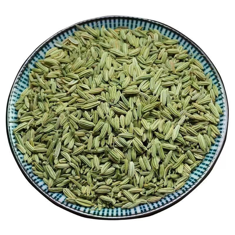 Natural Spices Herbs Seed Low Price Fennel seeds foeniculum vulgare