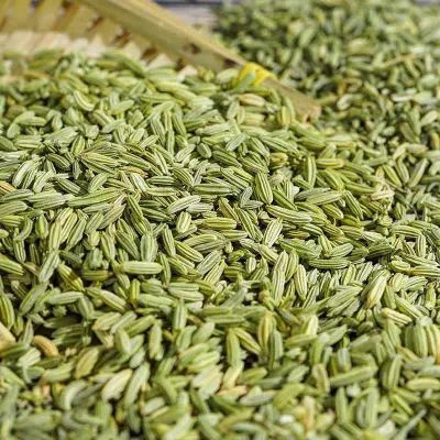 Top Quality Dry Spice Chinese Cumin Fennel From China