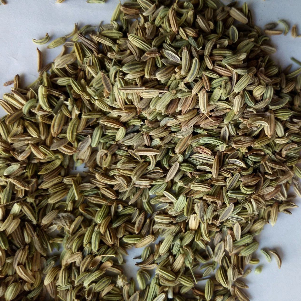 Xiao Hui Xiang Fructus Foeniculi Fennel Organic Cumin From China