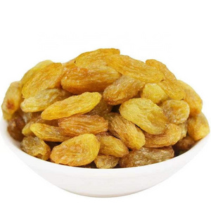 100% Organic Dried Fruit Raisins Golden for Sale Golden Green Black Red Dried Raisin Prices