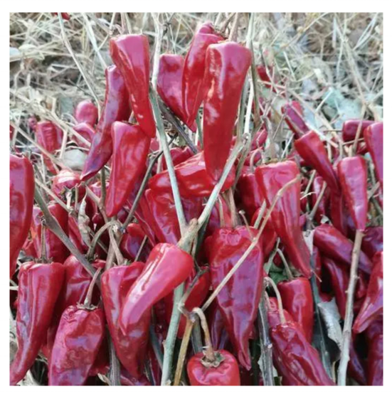 Approved HACCP So Hot 5*7mm Dry Red Pepper Paprika Chili Flakes  Chili big chili for Seasoning Pepper Red Dry Chilli