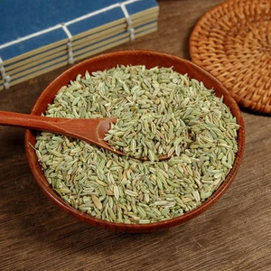 Xiao Hui Xiang Fructus Foeniculi Suppliers Fennel Seed