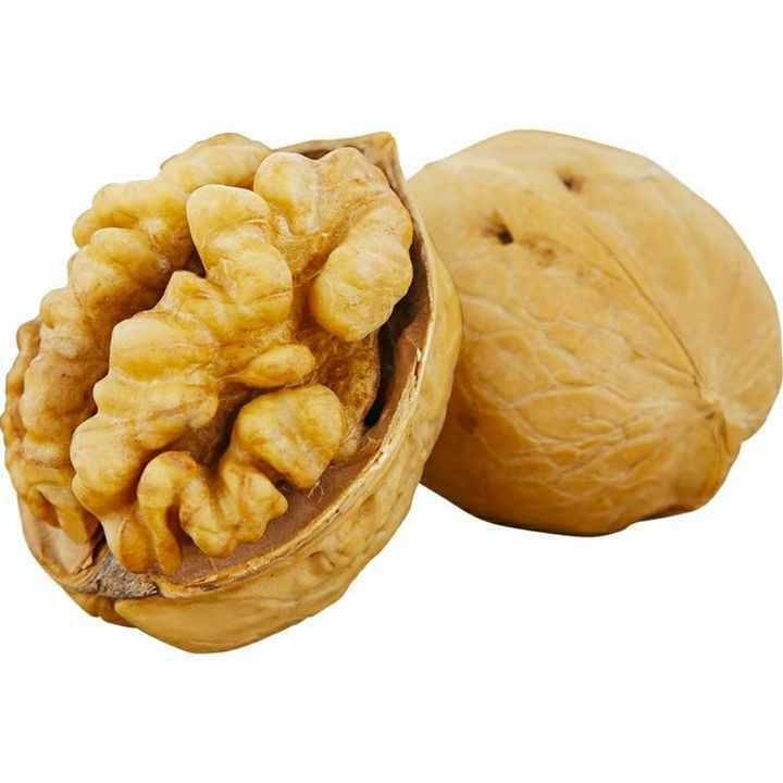 Best Selling Wholesales From Viet Nam Factory Price Ready To Ship Dried Walnuts High Quality