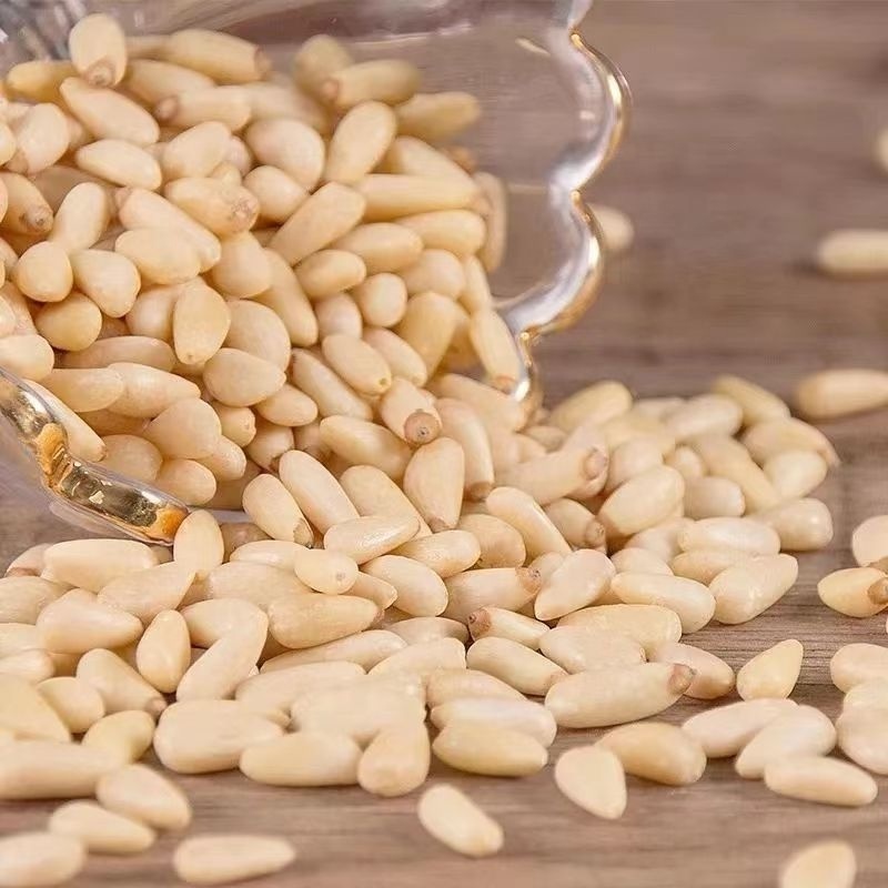 Chinese Quality Bulk Dried Fruit Pine Nuts the Shelled Pine Nut Kernels