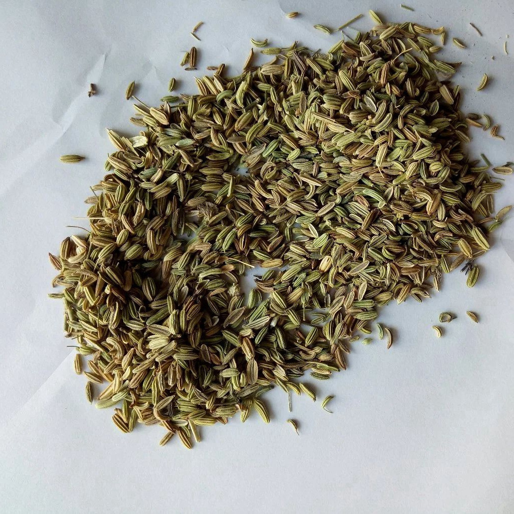 Xiao Hui Xiang Fructus Foeniculi Fennel Organic Cumin From China