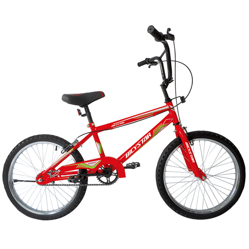 flatland bmx bike dirt jump bicycle for sale