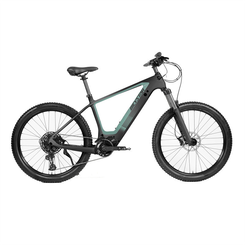 electrique homme / bicicleta electrica de monta motor central /bomber electric bike 8000w