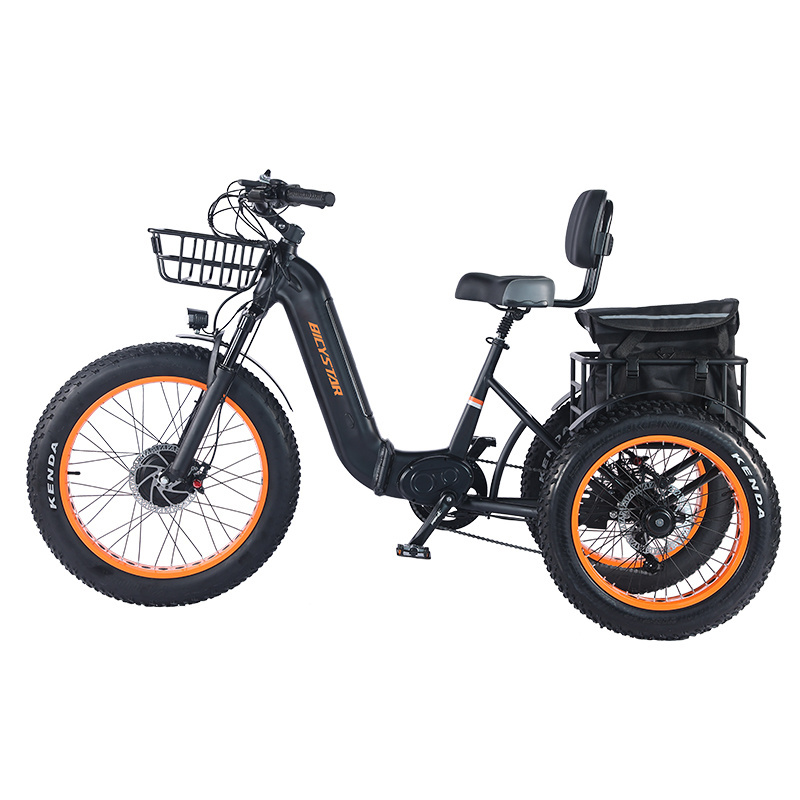 2024 2 Passengers Recumbent Bicycle Mid Drive Tilting Electric Adult Trike Scooter Foldable Fat Tires 3 Wheel Trike Tiit