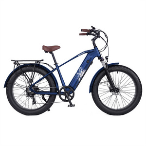 mtb electric bike for baby dirt big bike 1000w/ fat tire ebike /fat off-road electric bicycle with sidecar