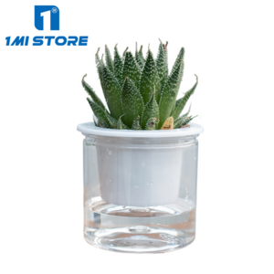 Cute Cactus PotAutomatic watering transparent plastic flowerpot garden supplies Plant Pot vase for home decor