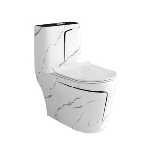 Dubai hotel bathroom toilet luxury floor-standing independent marble pattern WC ceramic toilet