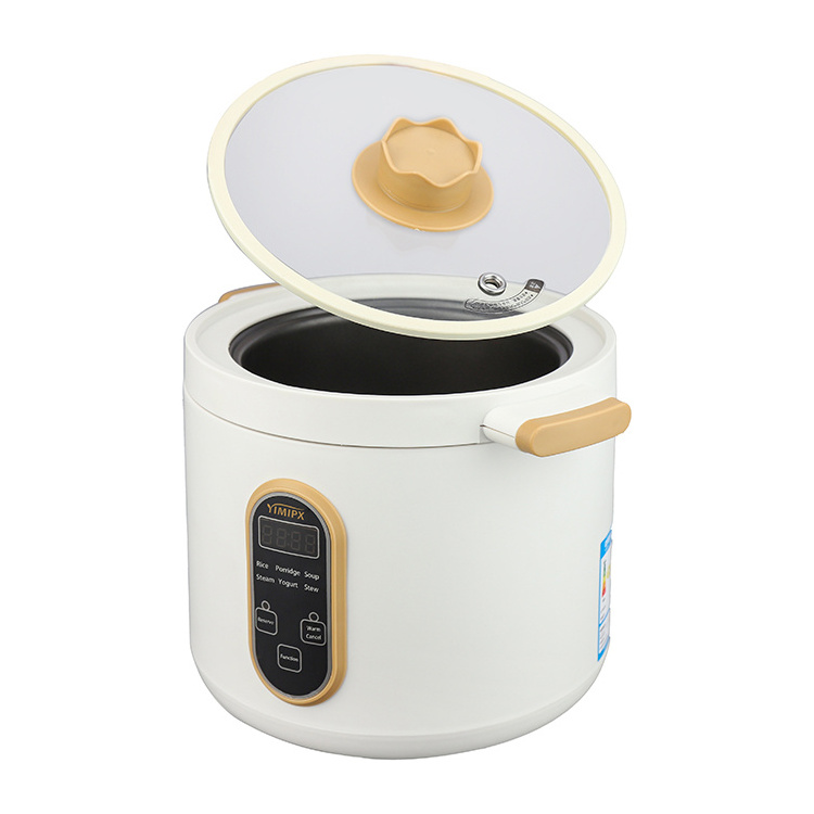 Cute Mini Electric Rice cooker 1.0L with Glass Visual Lid For Porridge Cooking and Keep Warm Function Rice Cooker