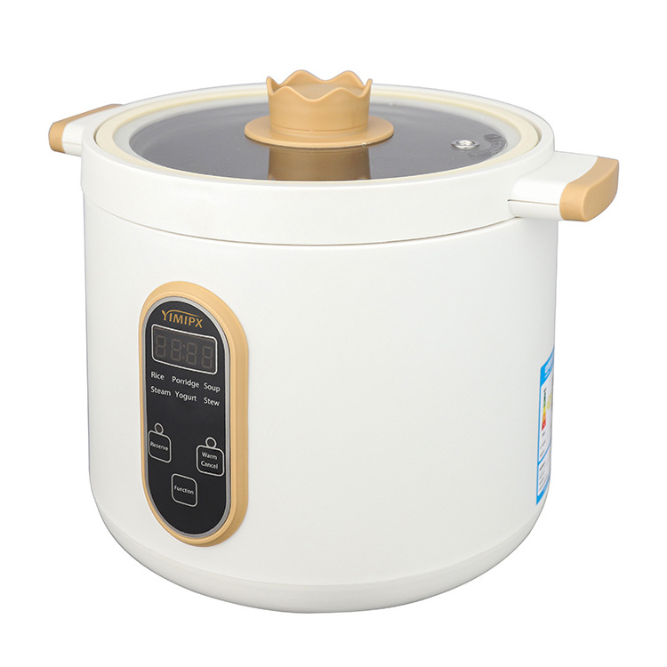 Cute Mini Electric Rice cooker 1.0L with Glass Visual Lid For Porridge Cooking and Keep Warm Function Rice Cooker