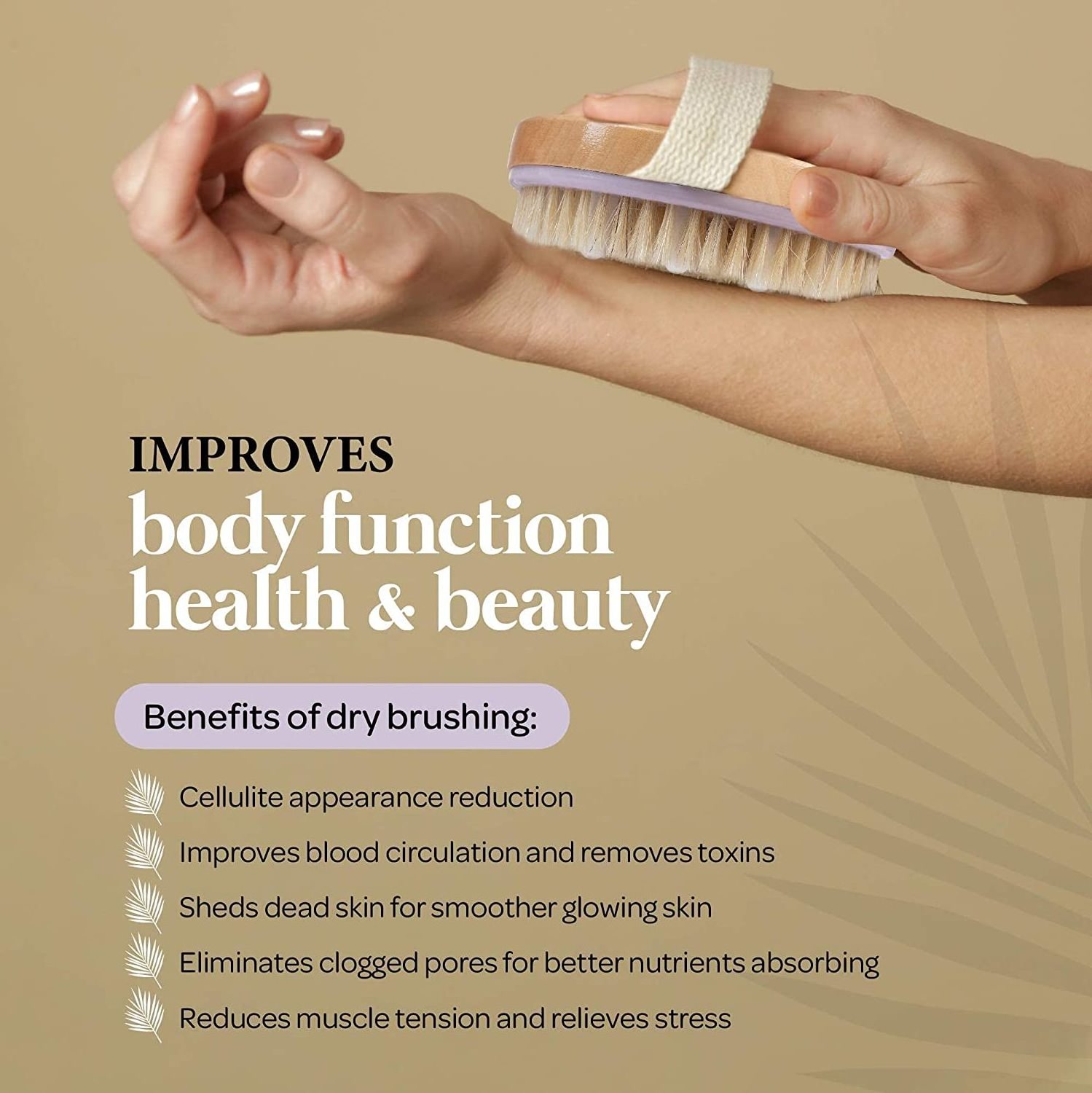 Body Exfoliator Dry Brush  Dry Brushing Exfoliating Body Brush for Dry Skin  Cellulite and Lymphatic Drainage