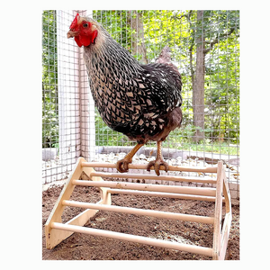 Jungle Gym Roosting Bar Made in USA!!! Chicken Toys Chick Perch Strong Wooden Europe Pine Tableware Wood Animal Painted TR-149