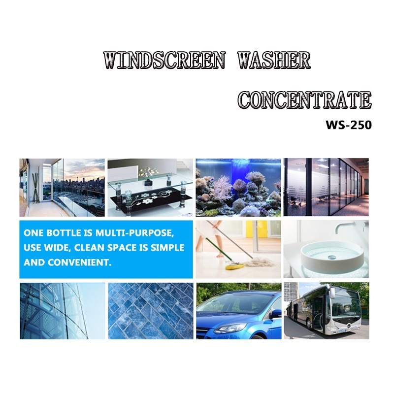 High Quality Windscreen Cleaner Grim Remover Anti Water Spots &Rough Bird Drops Concentrate Windshield Glass Wash & Antifreeze