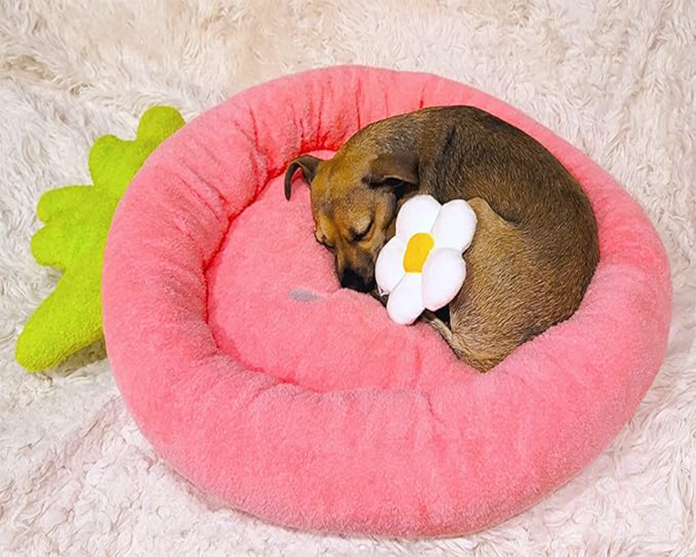 Adorable Soft Plush Small Cute and Cozy Dog Cat Bed Strawberry Shape Pet Sofa Bed for Indoor Cats