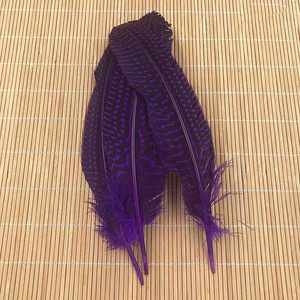 Wholesale customized 13-16cm color dyed clothing decorative feathers guinea fowl feathers