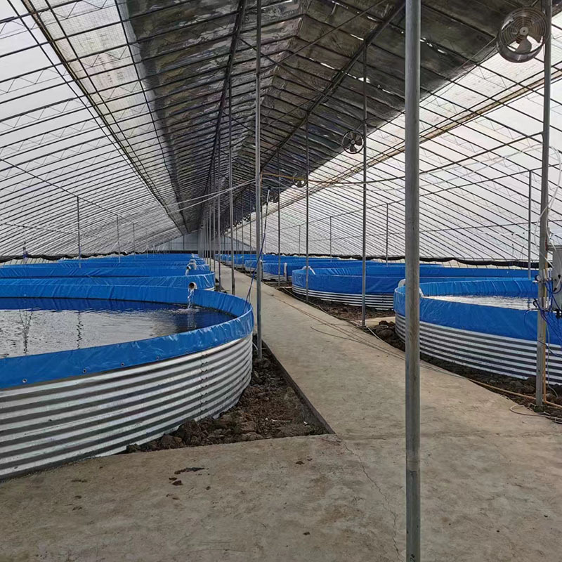 shrimp farming tanks for indoor shrimp farms