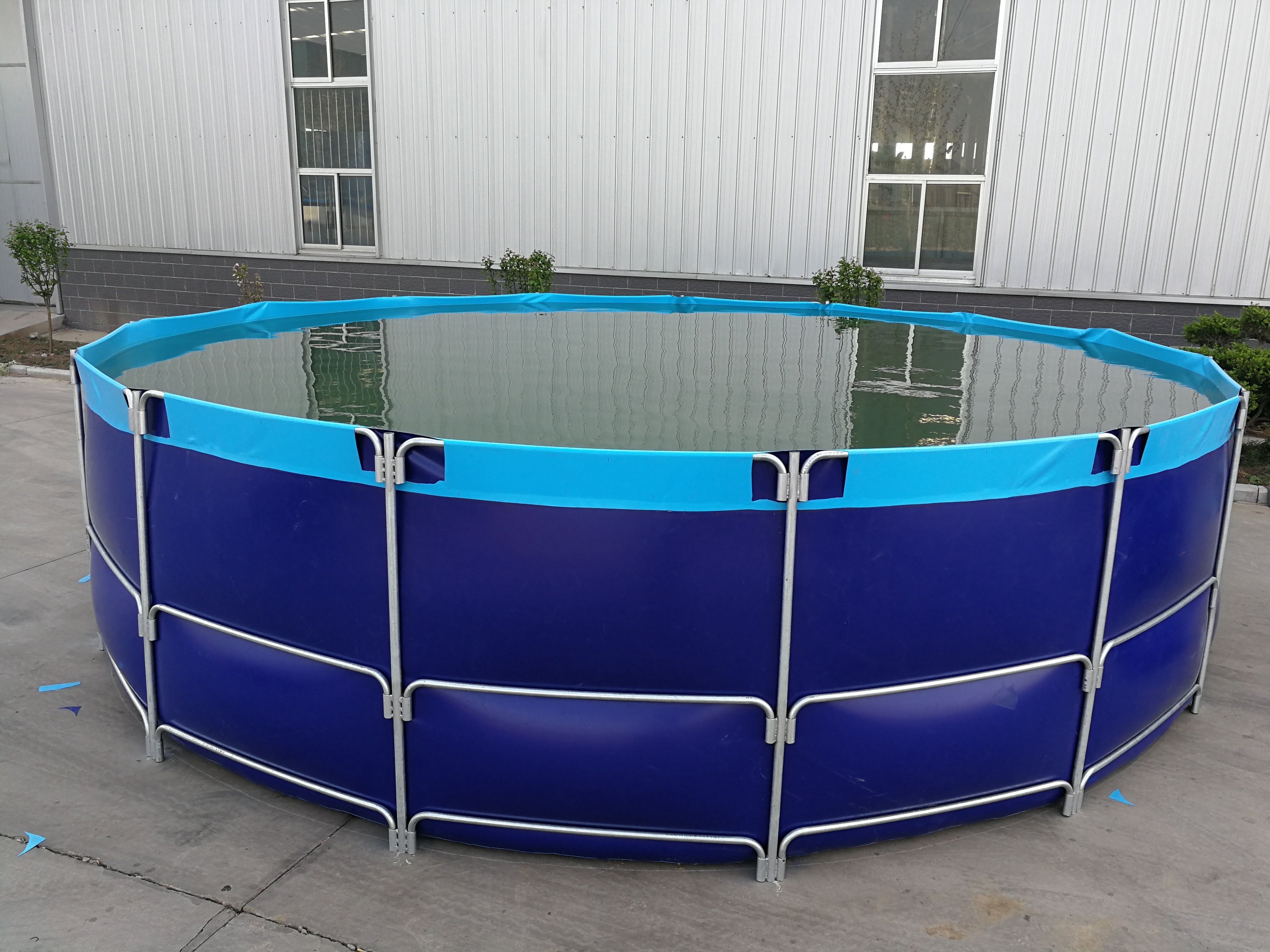 Real manufacturer aquarium fish pond for Tilapia mossambica fish