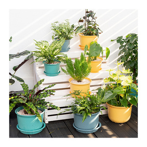 High Quality colorful Indoor Flowerpot Bonsai Plastic Plant Pots Wholesale Circular garden pot