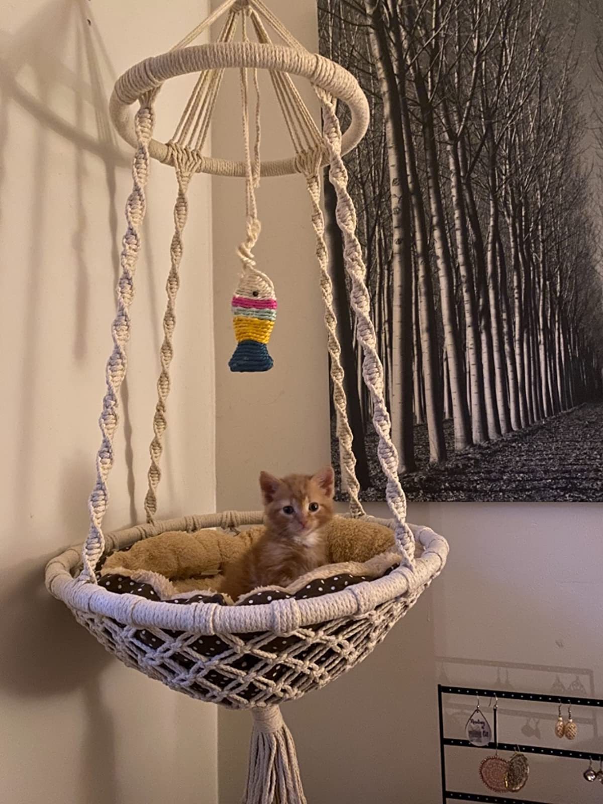 Wall Pet Cat Hanging Bed for Indoor Cat Swing Hammock Handwoven Cat Bed Hammock Tapestry Swing Bed