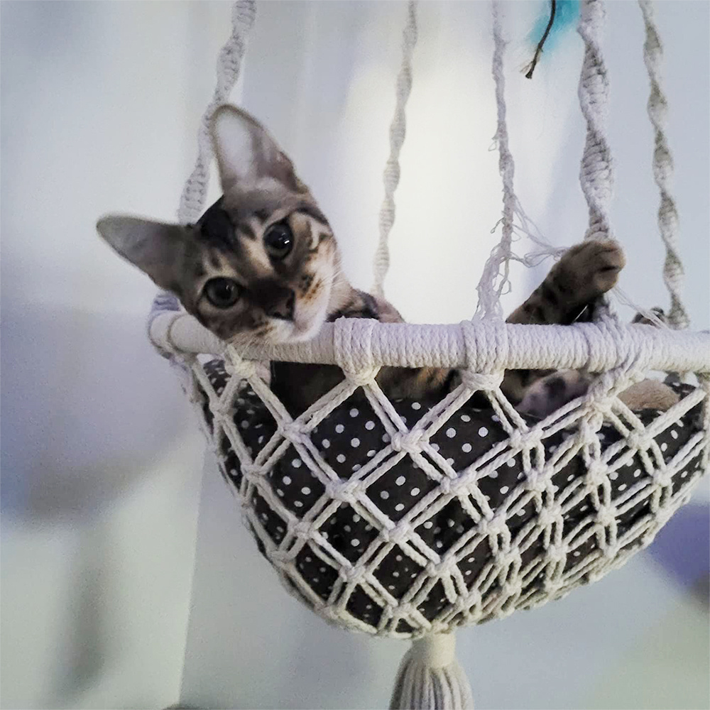 Wall Pet Cat Hanging Bed for Indoor Cat Swing Hammock Handwoven Cat Bed Hammock Tapestry Swing Bed