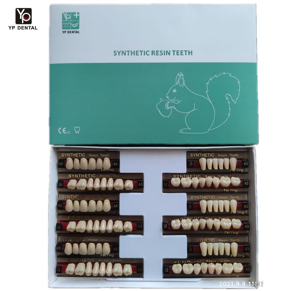 Upper Lower Artificial Acrylic Resin Teeth Anterior Posterior Incisor Molar Dental Prosthesis