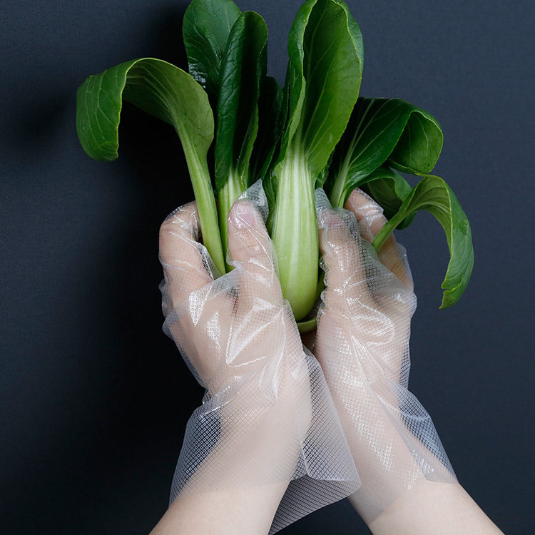 Food Handling cheap high quality Kitchen Waterproof disposable tpe gloves tpe gloves disposable