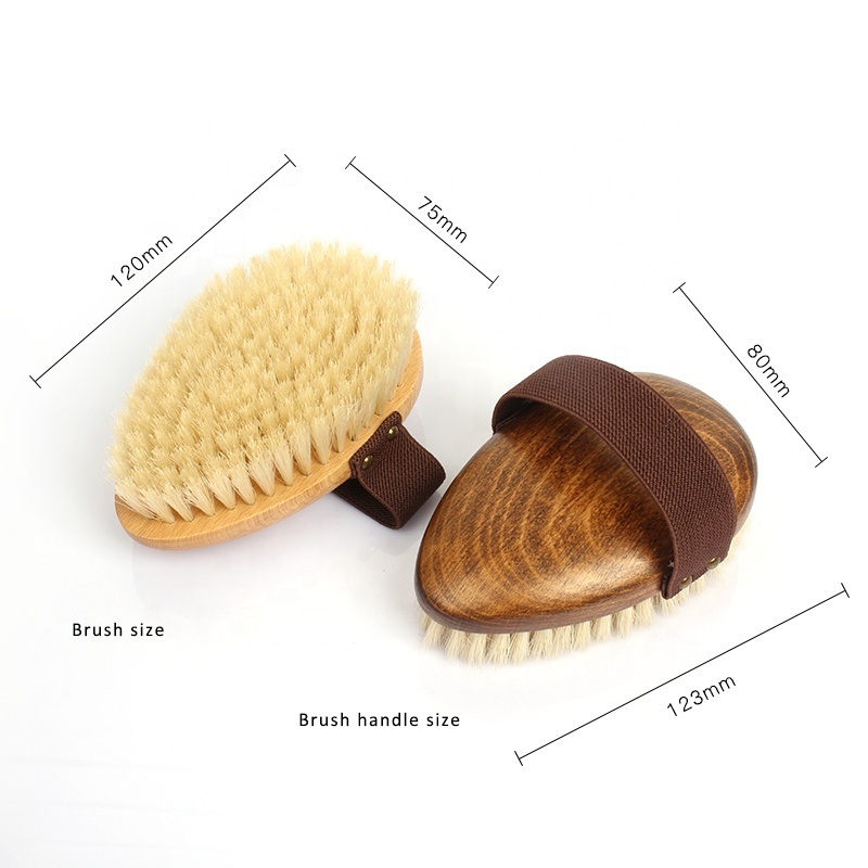 Factory Wholesale Custom Logo Wooden Cellulite Exfoliating Massage Bath Brush Bristle Dry Body Brush