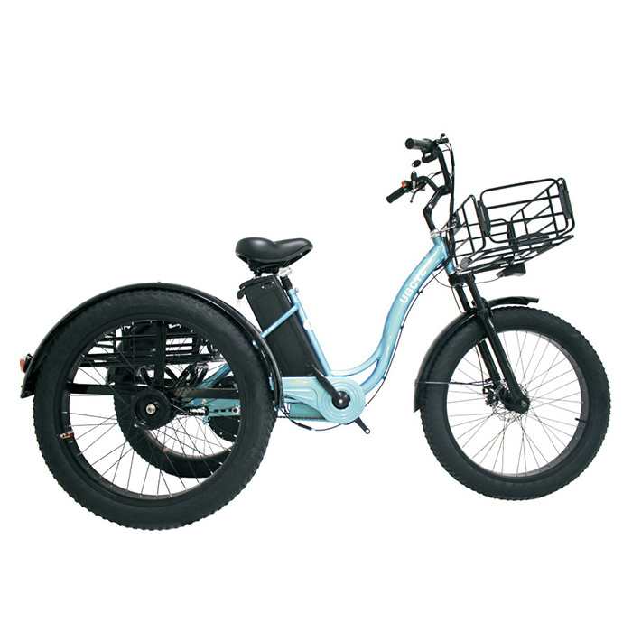 New 24 inch 48V250W 500W 750W electric trike fat tire 3 wheel Electric Tricycle /three wheels adult cargo electric bike