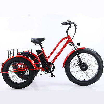 New 24 inch 48V250W 500W 750W electric trike fat tire 3 wheel Electric Tricycle /three wheels adult cargo electric bike