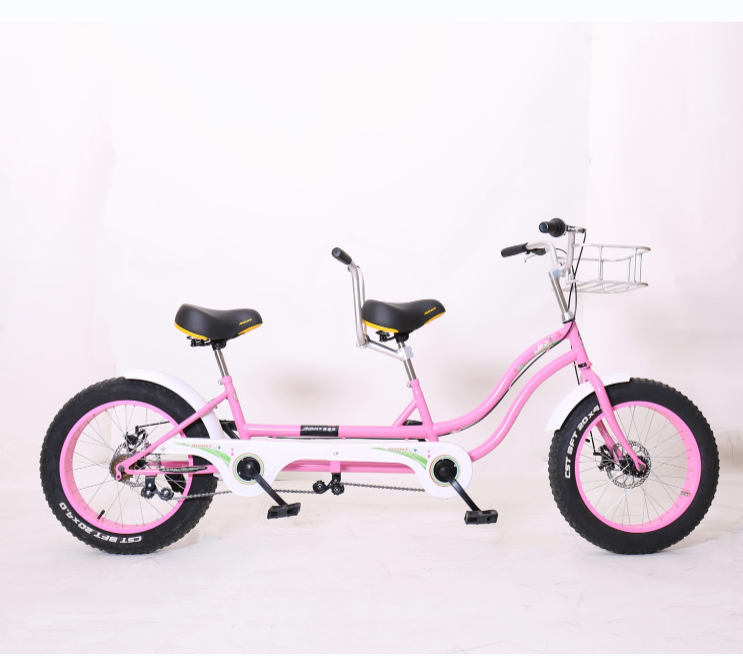 two seat two wheel family bike new design plastic pedal steel frame with 2 handlebar cycling bicycle fat tyre wheel