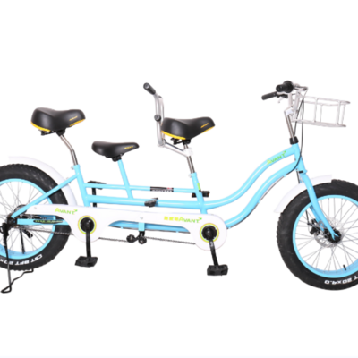 22 inch Double seats surrey bikes for 4 person 2 person tandem bike electric surrey bike BestSuppliers