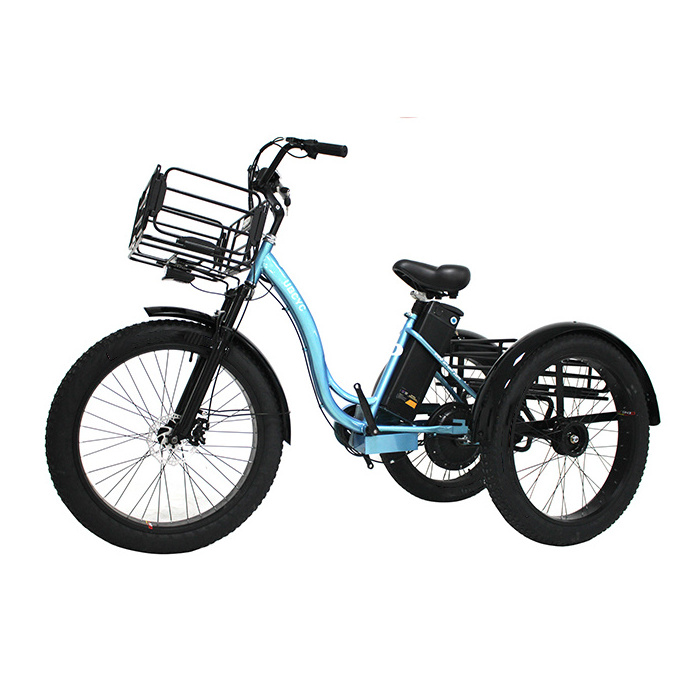 New 24 inch 48V250W 500W 750W electric trike fat tire 3 wheel Electric Tricycle /three wheels adult cargo electric bike