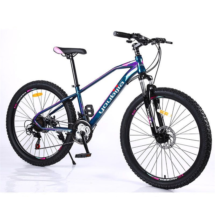 2022 High End Aluminum Alloy mountain bicycle mountainbike 26/27.5/29 inch 12 speed MTB hybrid mountain bike