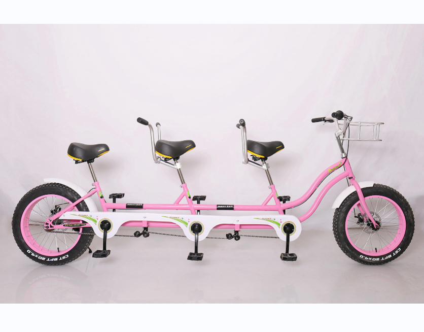 two seat two wheel family bike new design plastic pedal steel frame with 2 handlebar cycling bicycle fat tyre wheel