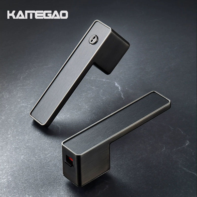 Zinc Alloy Modern Door Handle Matte Black Privacy Door Lock Square Rose Lever Handle for Bedroom Bathroom