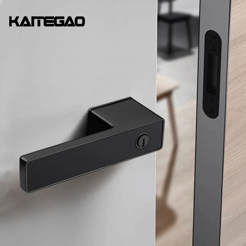 Zinc Alloy Modern Door Handle Matte Black Privacy Door Lock Square Rose Lever Handle for Bedroom Bathroom