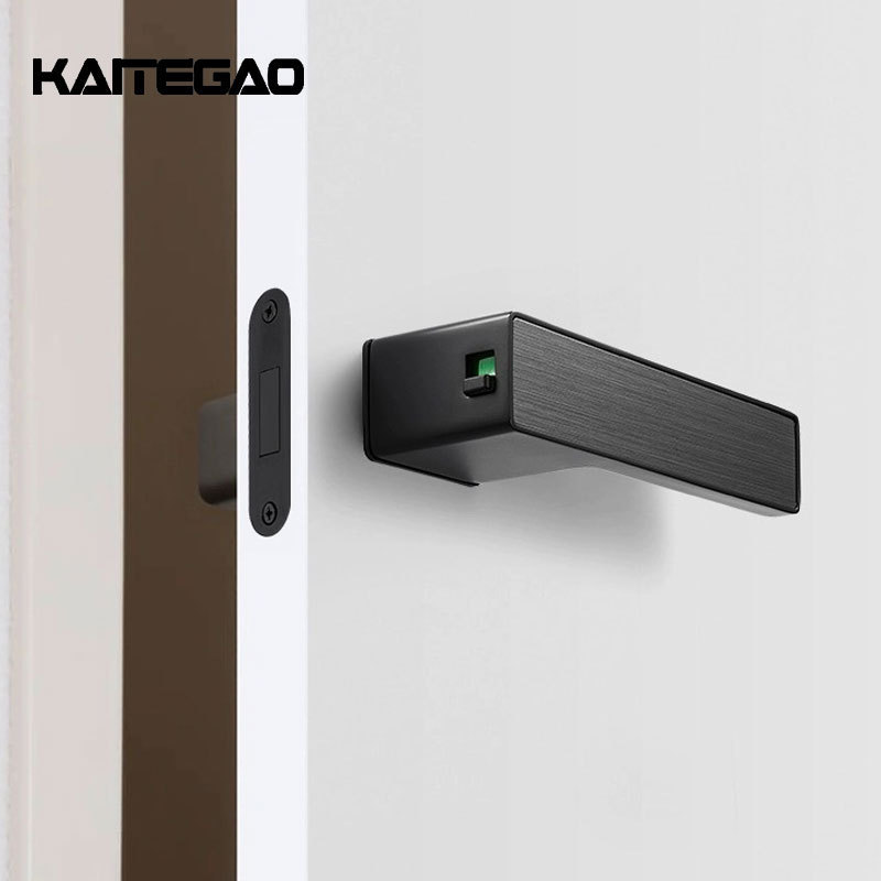 Zinc Alloy Modern Door Handle Matte Black Privacy Door Lock Square Rose Lever Handle for Bedroom Bathroom