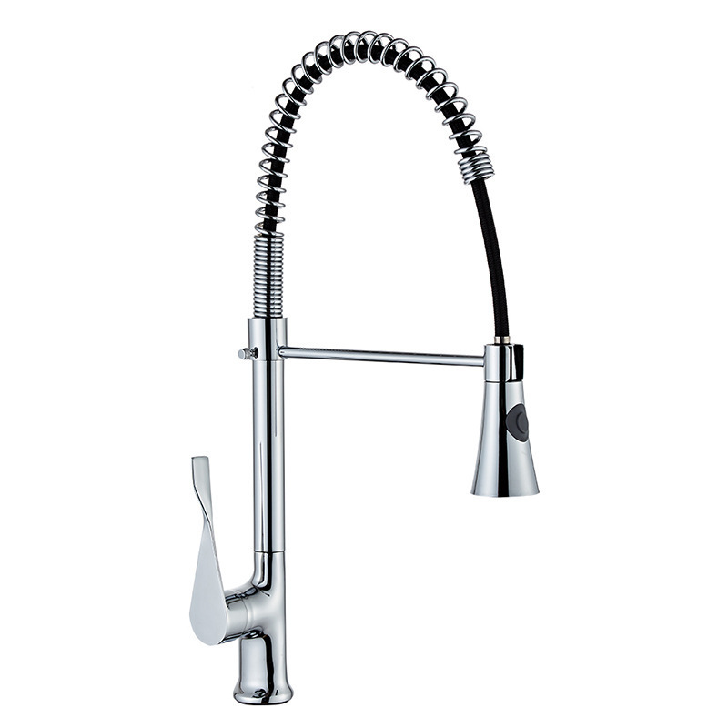 304 Stainless steel down double outlet european sink monochrome brass sprayer water tap single lever pull out kitchen faucet