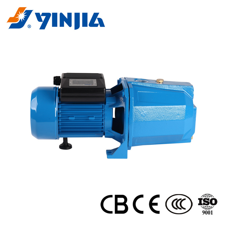 AC220V Mini Electric Water Pump Supply For House High Lift 0.75kw Irrigation Motor Pump Made In China