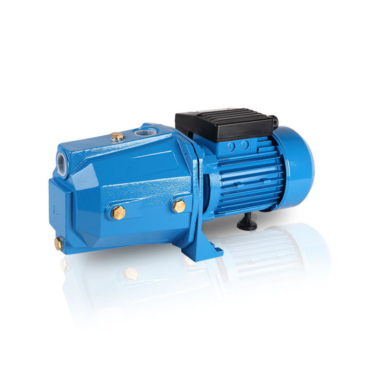 AC220V Mini Electric Water Pump Supply For House High Lift 0.75kw Irrigation Motor Pump Made In China