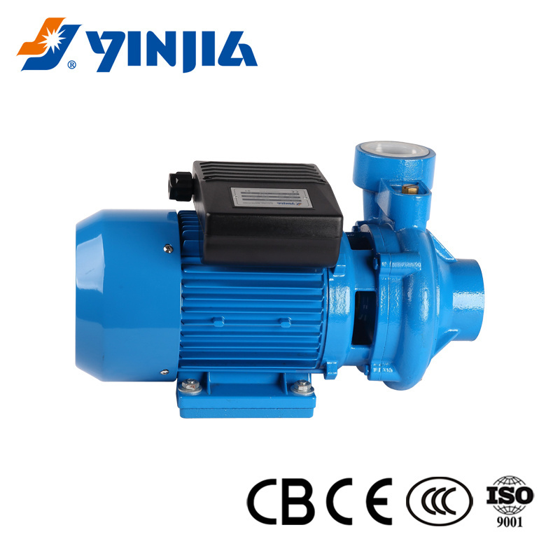 0.5HP Agricultural & Food Irrigation Small Electric Surface Centrifugal Iron Material Water Pump