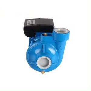 0.5HP Agricultural & Food Irrigation Small Electric Surface Centrifugal Iron Material Water Pump