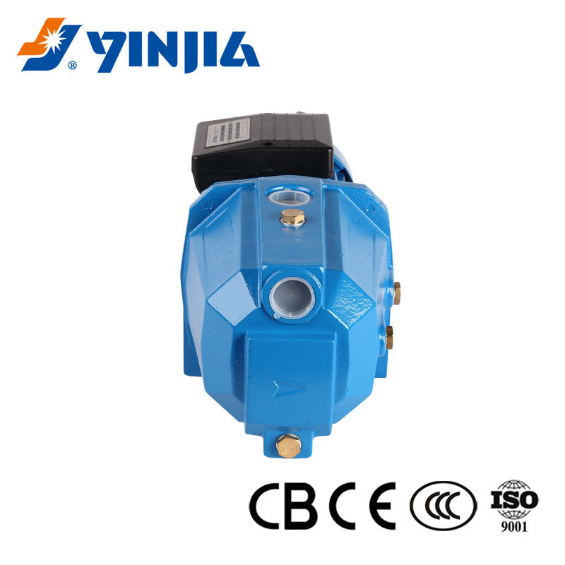 AC220V Mini Electric Water Pump Supply For House High Lift 0.75kw Irrigation Motor Pump Made In China